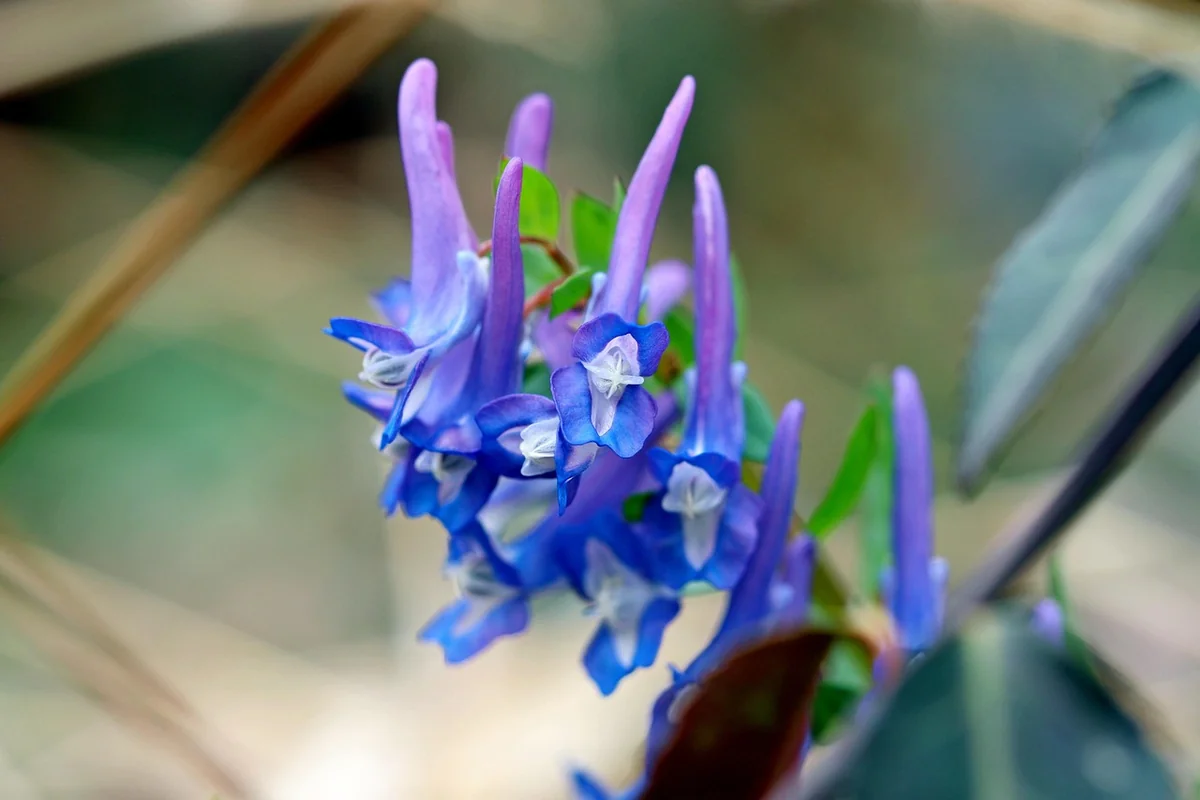 Measure Output, Not Online Presence